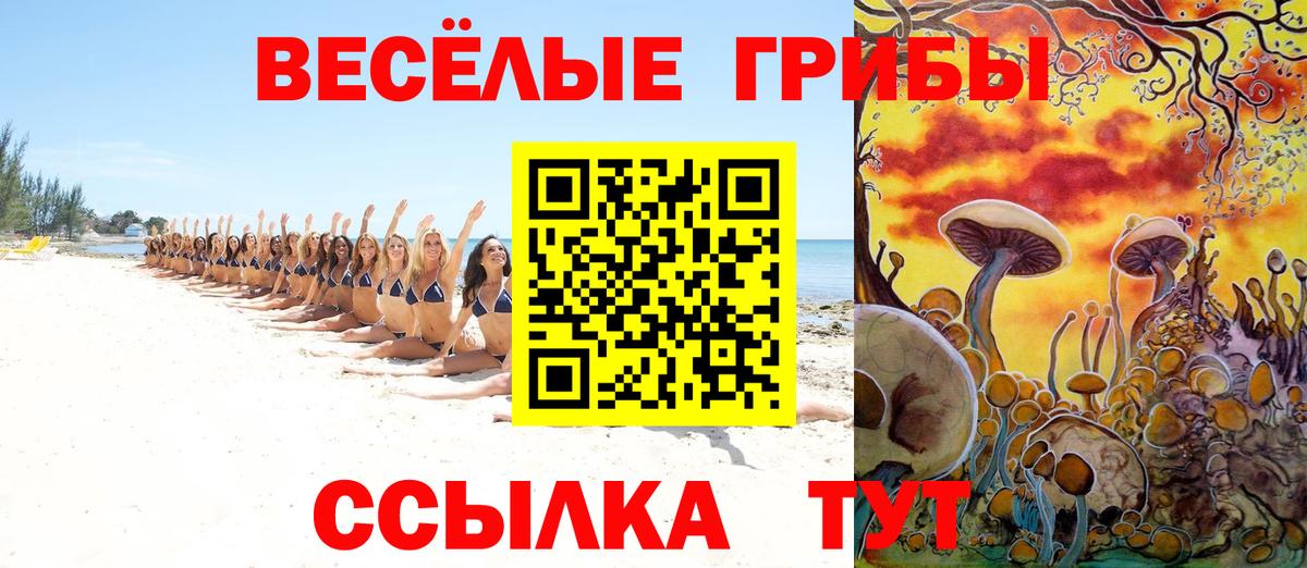Псилоцибиновые грибы ЛСД  Вход с VPN  Аша 