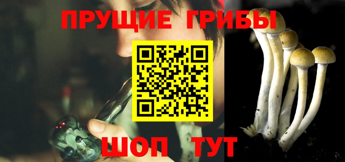 Псилоцибиновые грибы Cubensis Аша