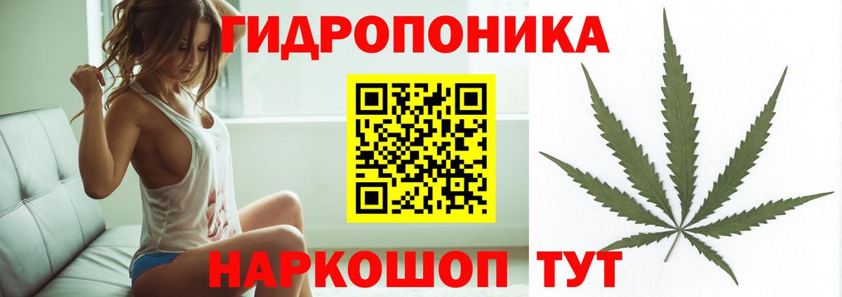Бошки марихуана планчик Аша